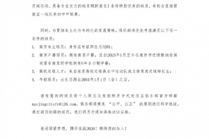 南京城市将组建B队备战明年中冠，招募球员贯彻本土化年轻化策略