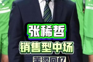 张稀哲谈“销售型中场”内幕：当时坚决不参加，主帅说回来给机会