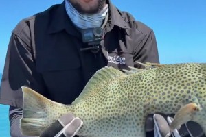 休赛期垂钓高手西蒙斯社媒晒海钓收获！直言这回运气爆棚~