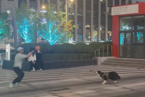 这是业余联赛配合？苏超连云港队反击中精彩漏球瞬间打穿对手防线